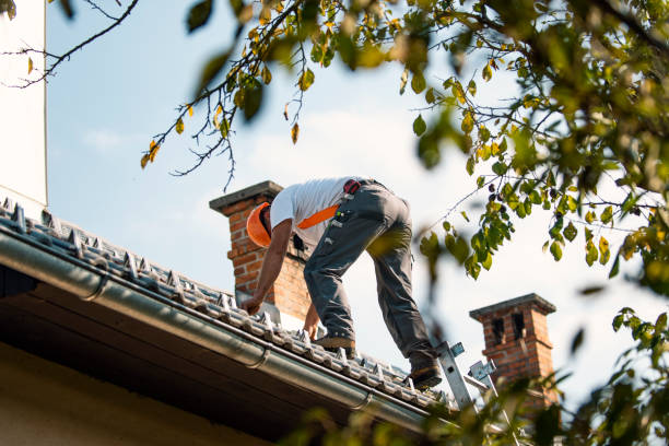 Best Roof Moss and Algae Removal  in Oakbrook Terrace, IL